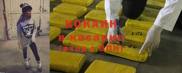 дурь Инсар