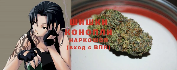 дурь Инсар