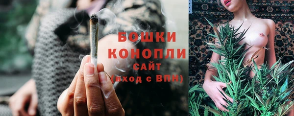 дурь Инсар