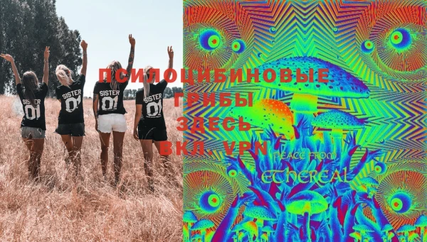 эйфоретик Инта