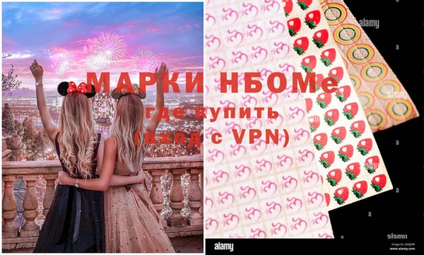 дурь Инсар