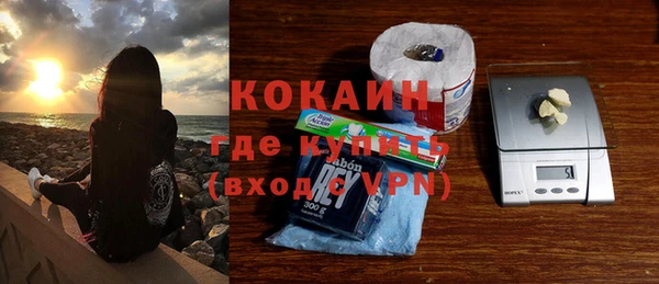 дурь Инсар