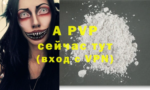 эйфоретик Инта